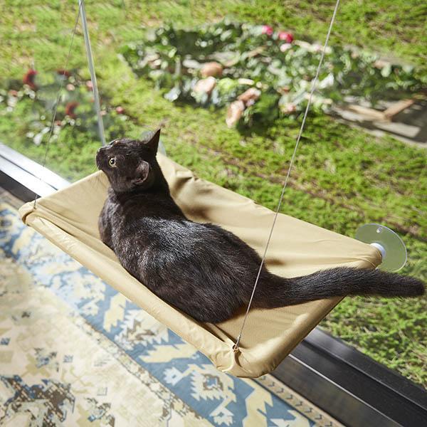 Sunny Window Katzenhängematte – Ein sonnendurchflutetes Paradies ☀️😺 