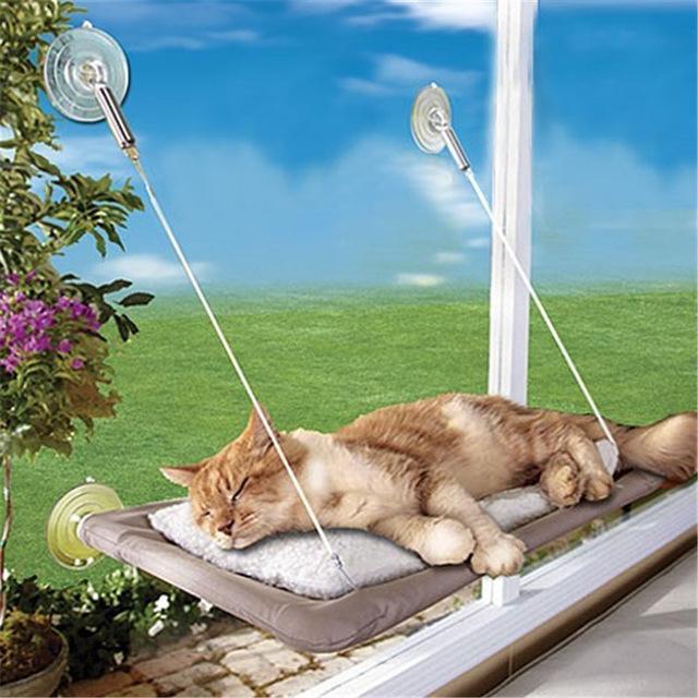 Sunny Window Katzenhängematte – Ein sonnendurchflutetes Paradies ☀️😺 